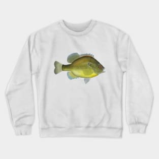 Dollar Sunfish Crewneck Sweatshirt